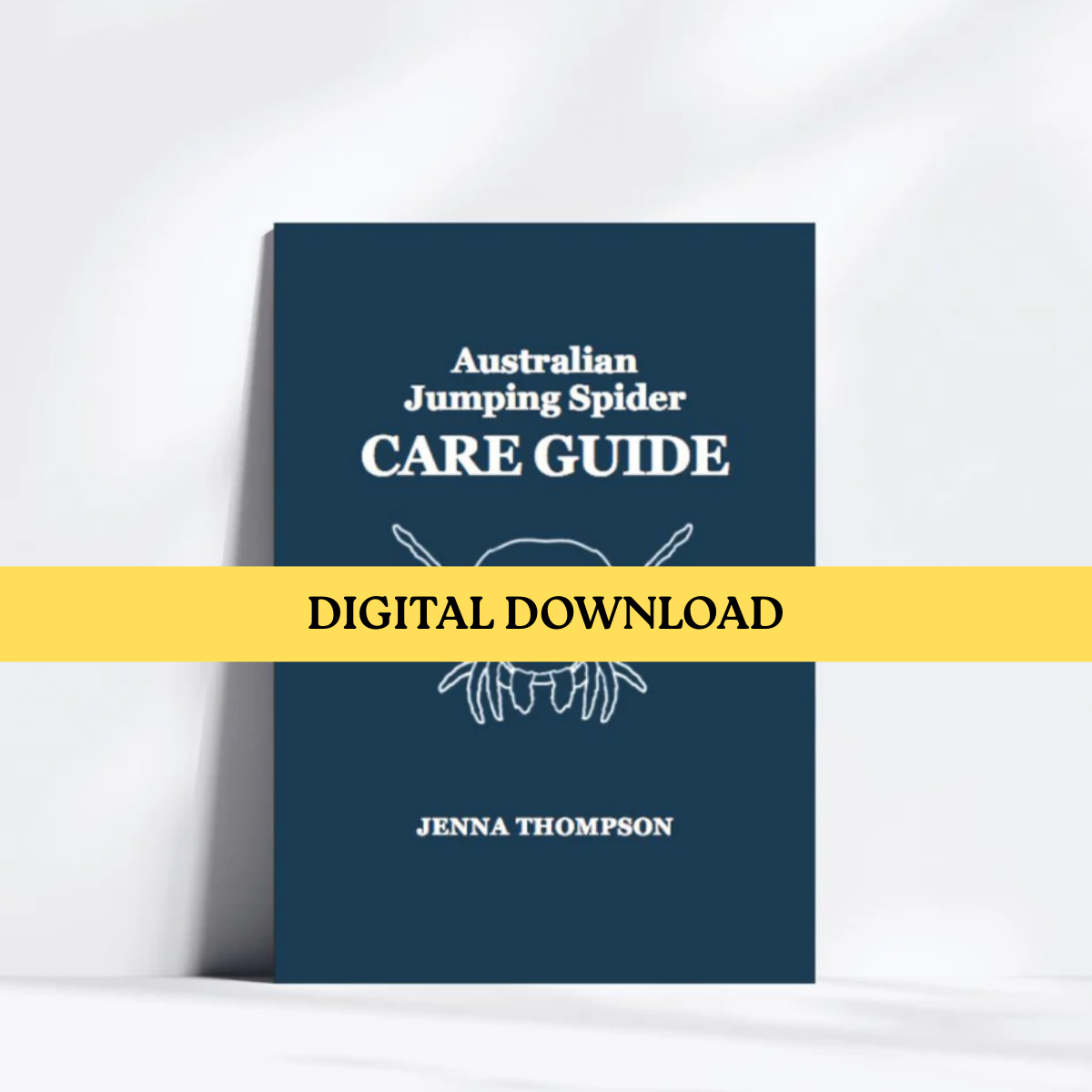 DIGITAL DOWNLOAD Australian Jumping Spider Care Guide